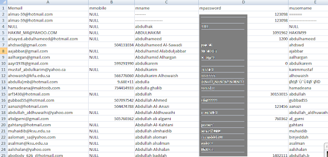 Saudi Arabia's King Saud University Database Hacked